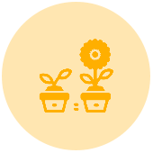 icon2