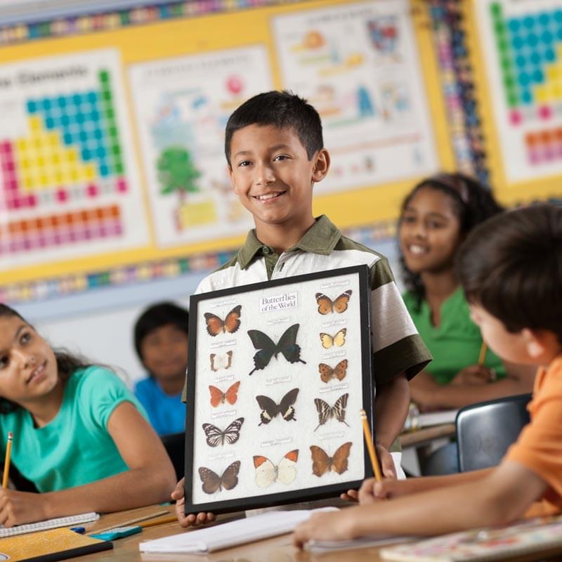 boy giving presentation in class