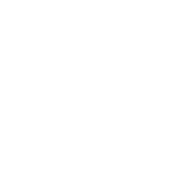 icon1