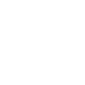 icon2